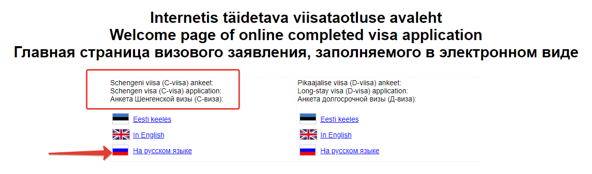 Скриншот выбора языка, на котором заполнять визовую анкету