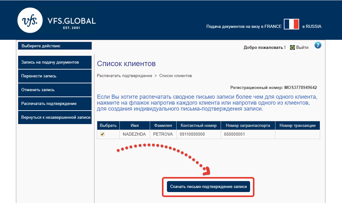 Скриншот с кнопкой для скачивания письма-подтверждения записи на сайте VFS.Global